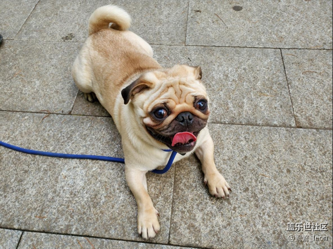 三星Galaxy S10e 除了小屏旗艦，還有什么優(yōu)勝之處？