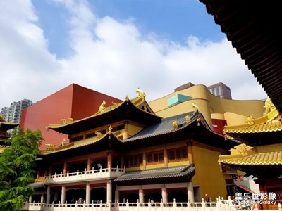 【不負(fù)好春光】+靜安寺