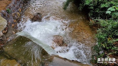 【不負好春光】+ 登山