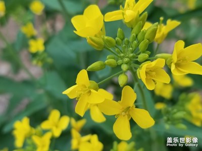 雜記?。?！