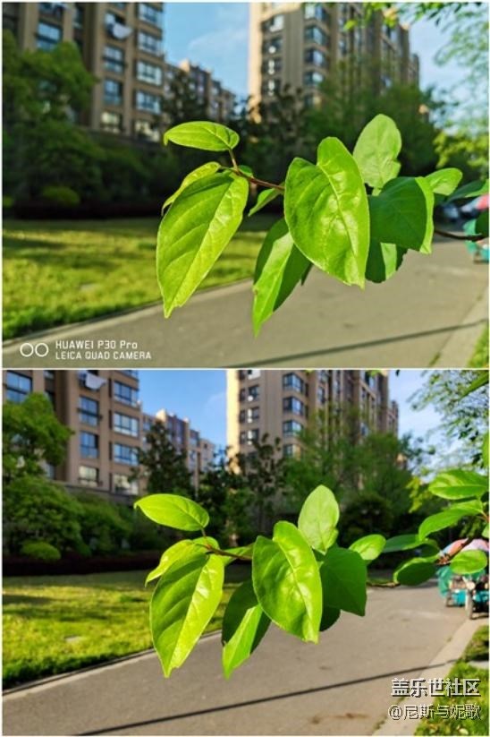 王者對決 華為P30 Pro遇上三星Galaxy S10+：差距一目了然