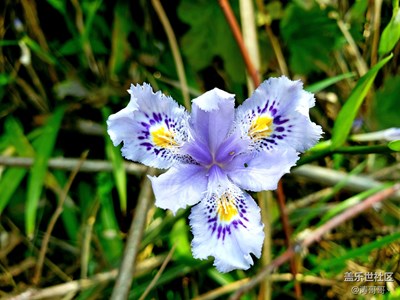 四月，我覺得才是春天！