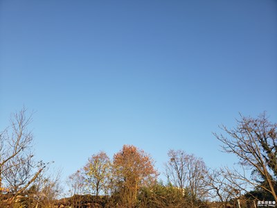 走過的路才是最美的風景