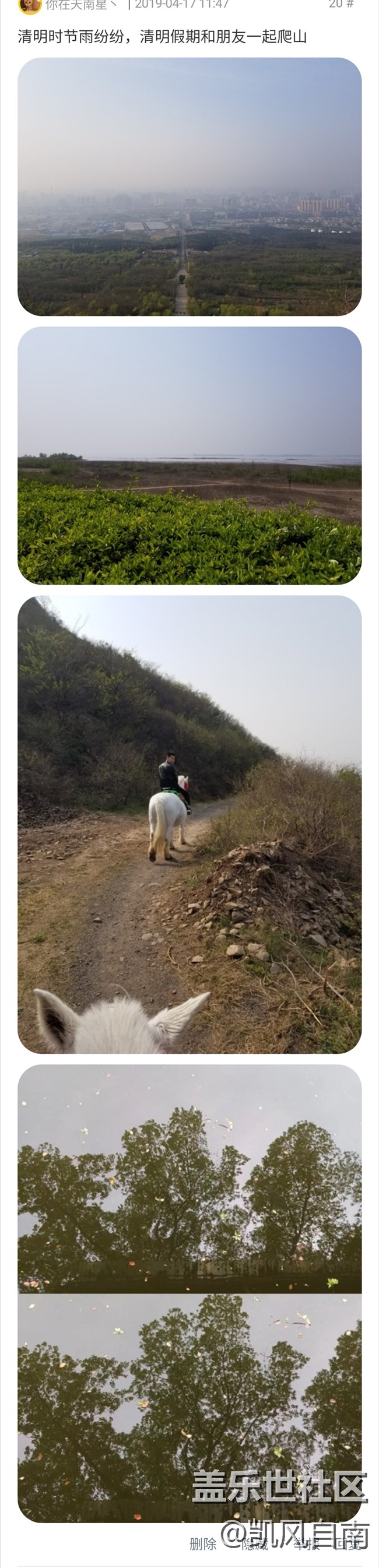 沈陽(yáng)星部落第七場(chǎng)線上活動(dòng)   ——回顧美好假期