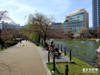 【不負好春光】＋上野公園