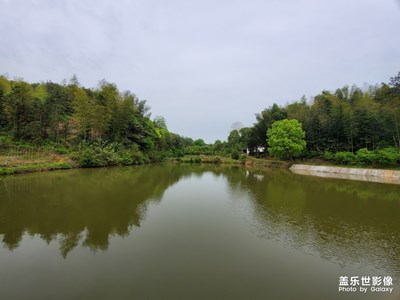 【不負好春光】+眼里的春天