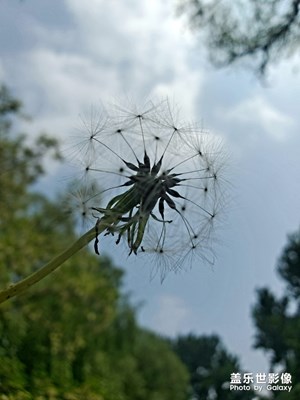 路過公園隨拍