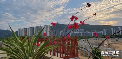 高園水庫(kù)濕地公園