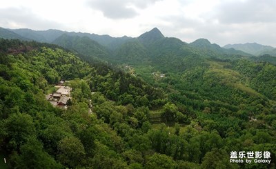 滿目蒼翠