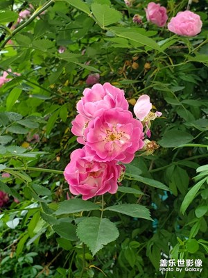 夏天的氣息
