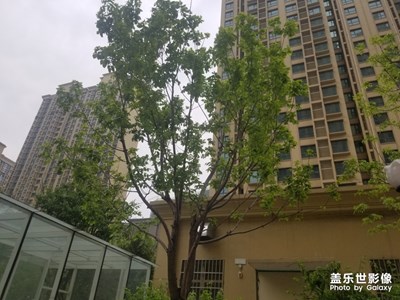 隨便拍的