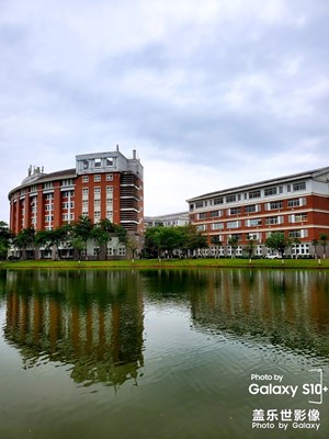 夏天校園景色