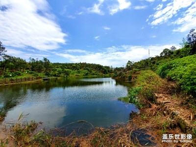 鼓嶺云海