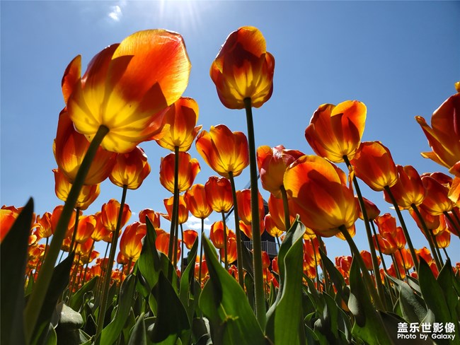 【每周精帖匯145-146】五一小長假各位如何度過的呢？