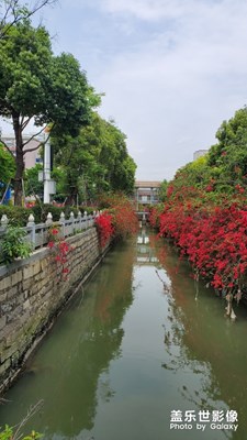 周末隨手拍