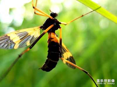 隨拍