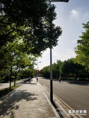校園風(fēng)
