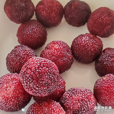 楊梅