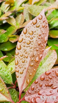 雨天里找樂趣