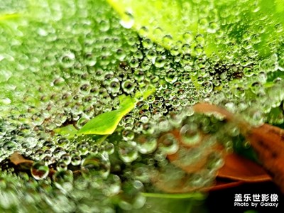 隨拍
