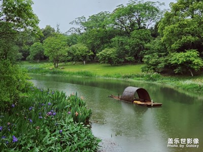 S10拍攝春意濃