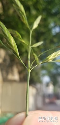 隨手拍
