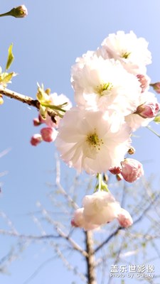 珍珠公園