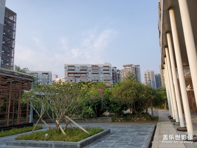 早安