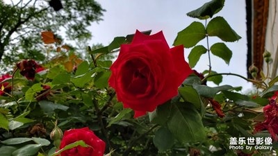 五一小長假-老家行
