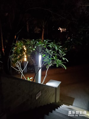園區(qū)夜晚