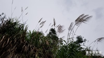 【玩轉五一】+身邊的風景