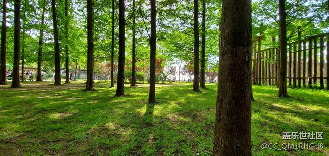 五一水滸城隨拍