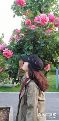 我家月季花！