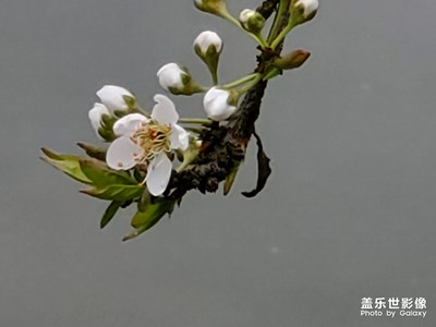 生機(jī)