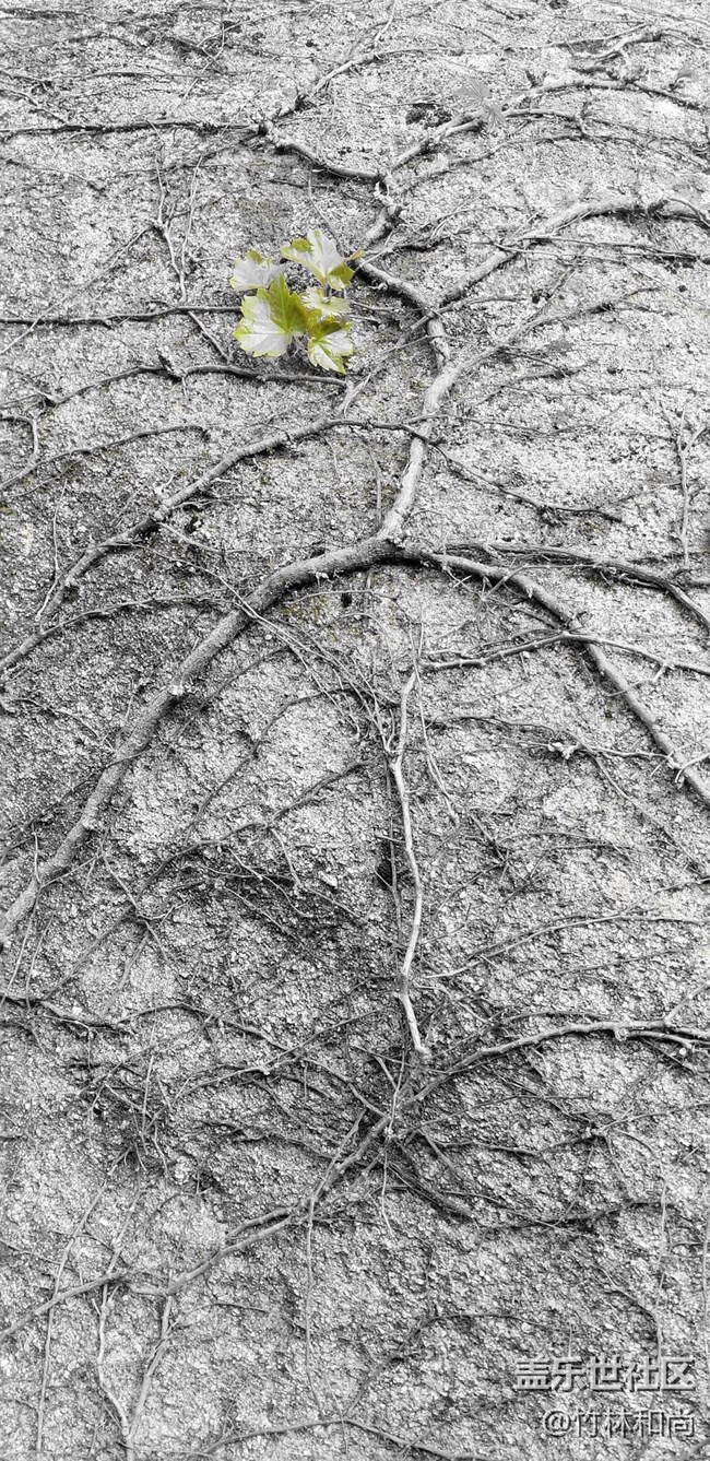 NOTE8升級后煥然新生，曬一些最近畫的畫和拍的照