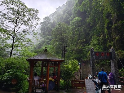 【玩轉五一】雅安碧峰峽