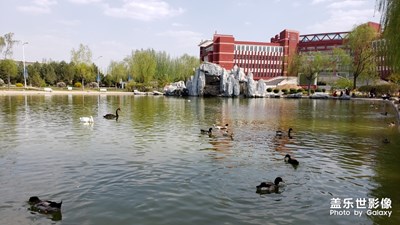 校園湖光