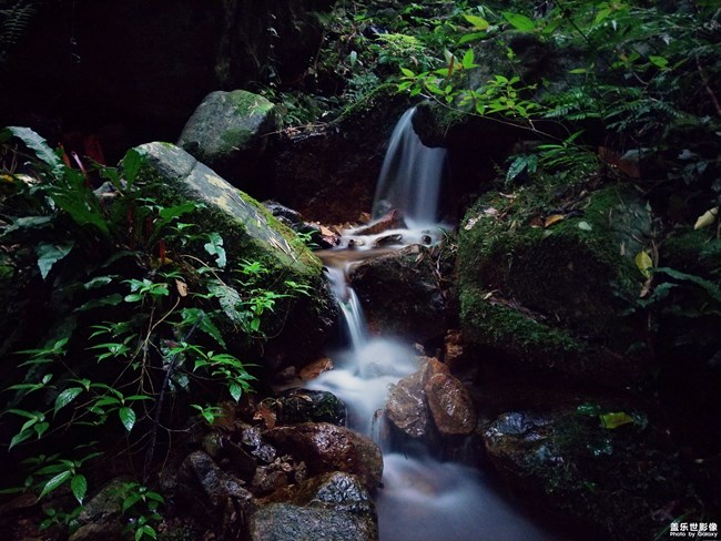 【每周精帖匯145-146】五一小長假各位如何度過的呢？