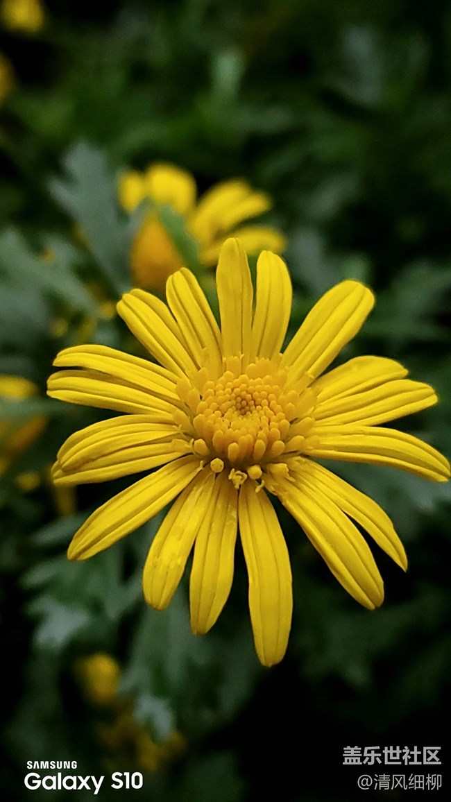 【每周精帖匯147】祝各位媽媽母親節(jié)快樂！