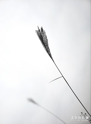 這是霧都