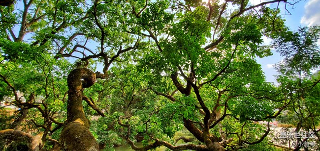 【Galaxy S10系列星粉體驗(yàn)活動】每一代，都是一個“十”代