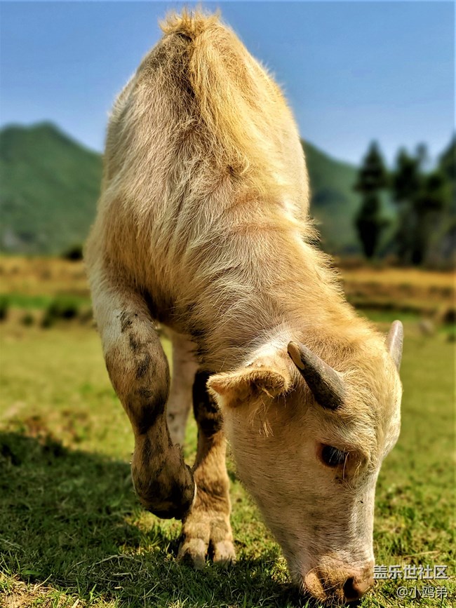 【Galaxy S10系列星粉體驗(yàn)活動】每一代，都是一個“十”代