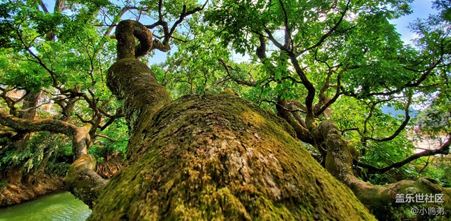 【Galaxy S10系列星粉體驗(yàn)活動】每一代，都是一個“十”代