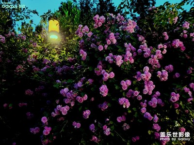 【走四方】+一城山色半城湖，大美濟(jì)南