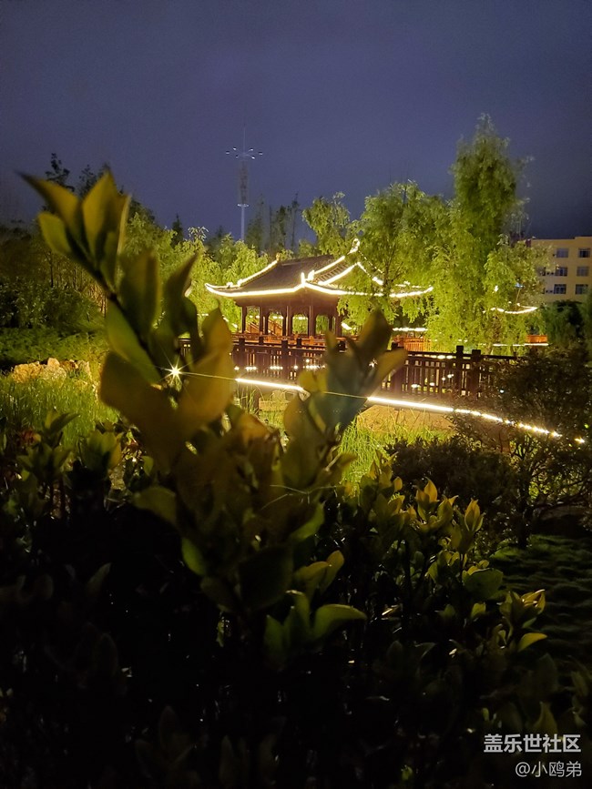 【Galaxy S10系列星粉體驗(yàn)活動】每一代，都是一個“十”代