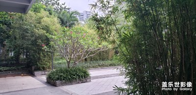園區(qū)