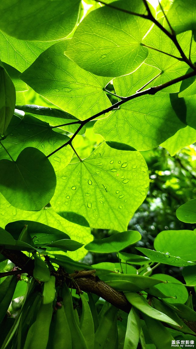 【每周精帖匯147】祝各位媽媽母親節(jié)快樂！