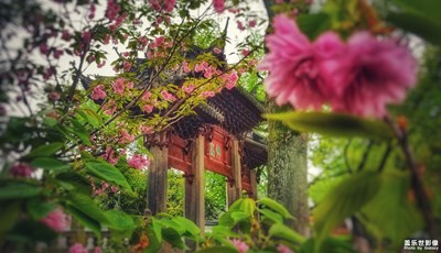 【走四方】+擁抱春天