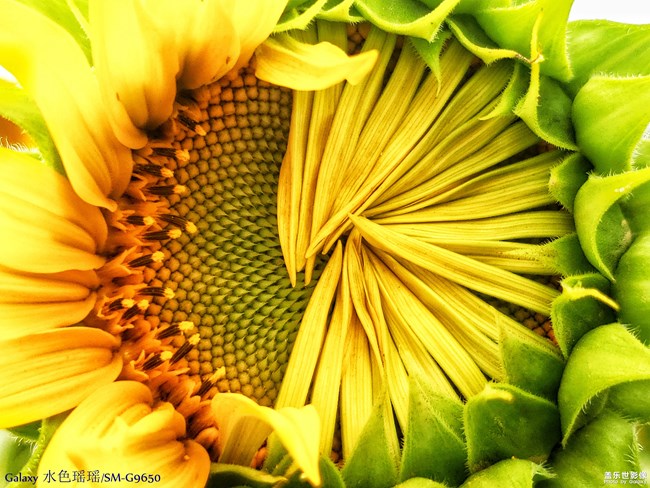 【每周精帖匯147】祝各位媽媽母親節(jié)快樂！