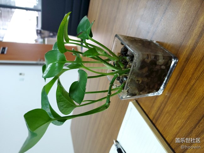 不是我說，感覺S10的拍照甩他們幾條街